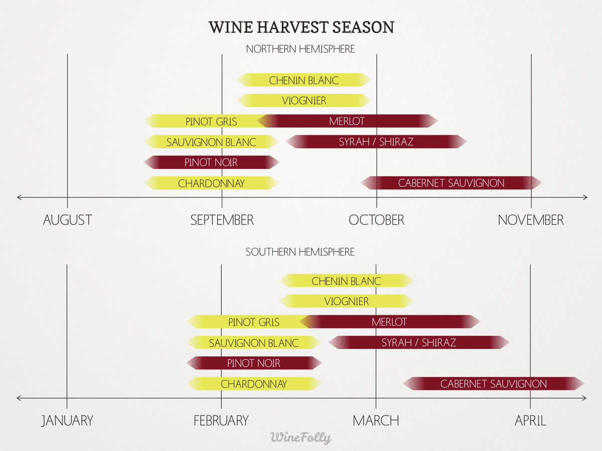 Wine Grape Ripening Chart