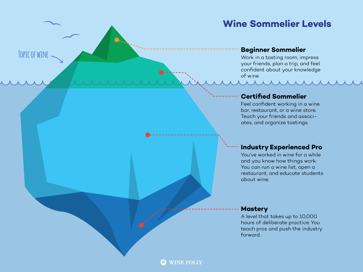 How to become a Winemaker - Salary, Qualifications, Skills