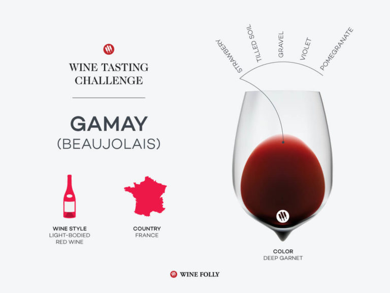 Gamay Wine Folly