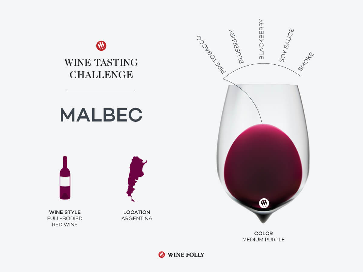 great malbec wine