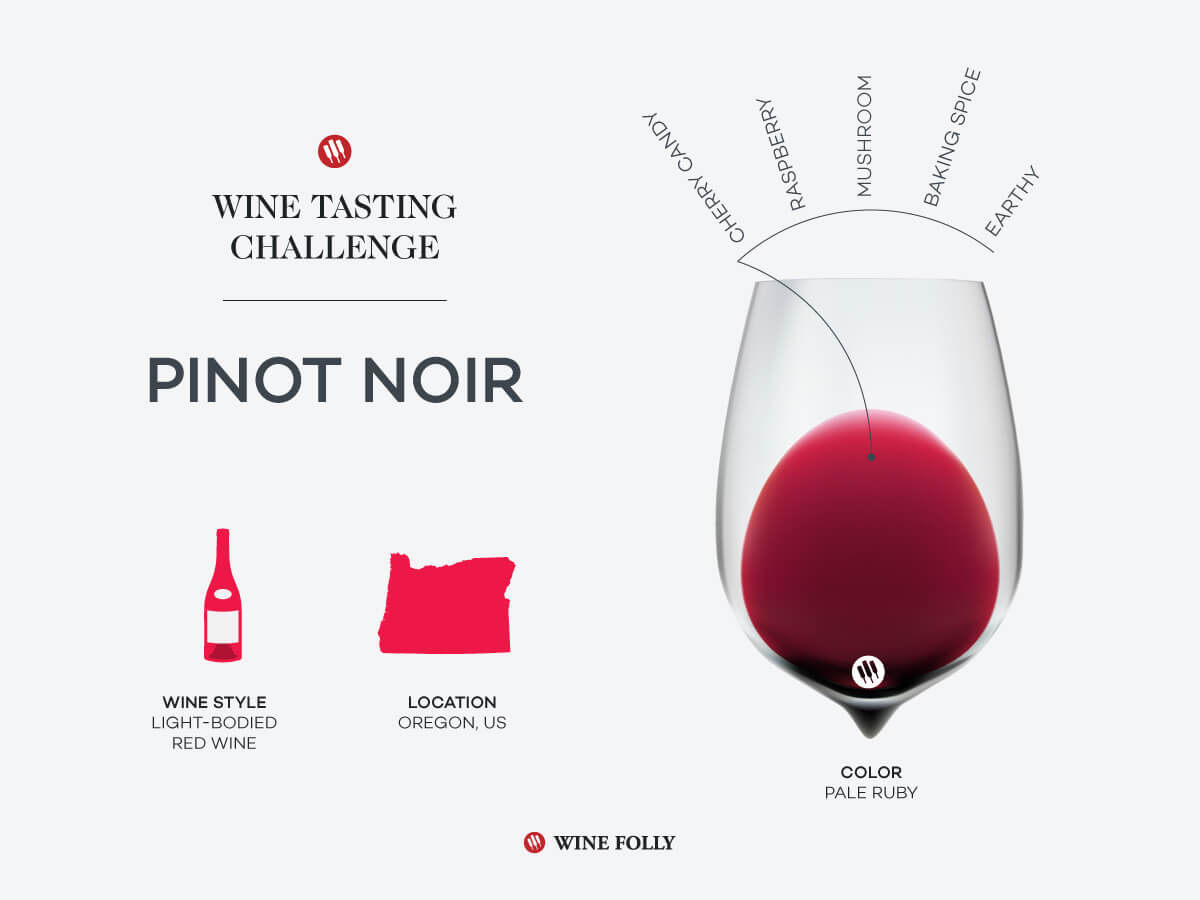 Tasting Challenge: - Pinot Noir | Folly