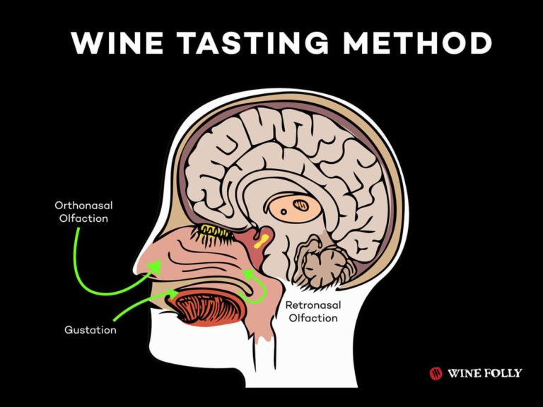 wine-tasting-method-video
