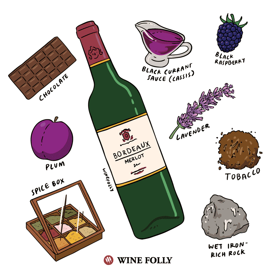 The Comprehensive Guide to Merlot