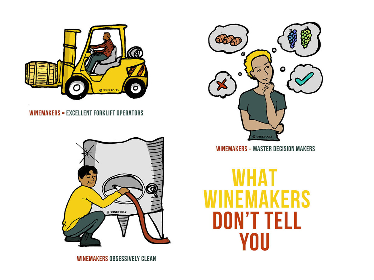 What Winemakers Don't Tell You About Making Wine Wine Folly