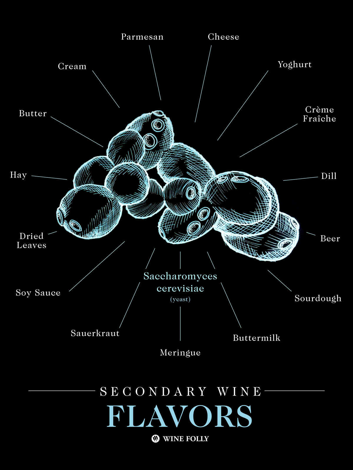 How Yeast Affects The Taste Of Wine Wine Folly