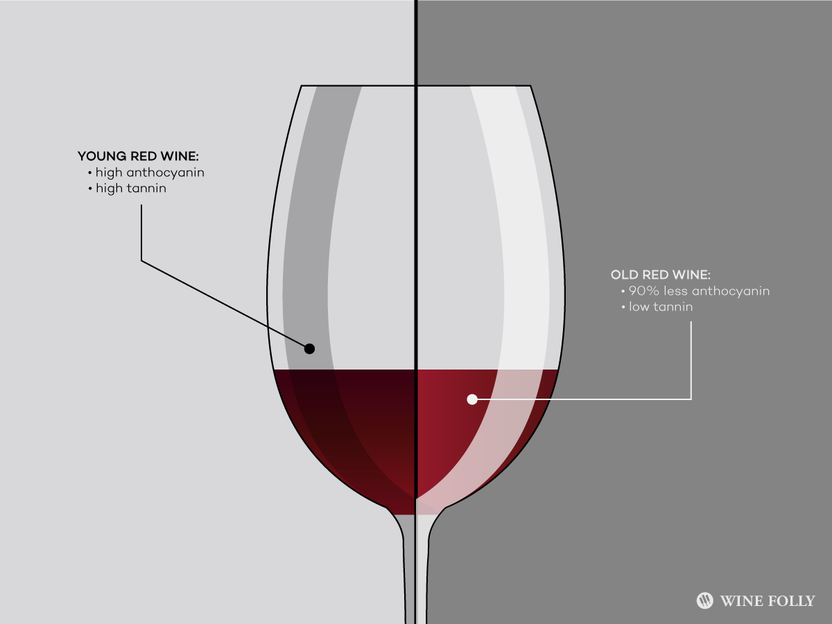 young wine may be better than old wine | wine folly