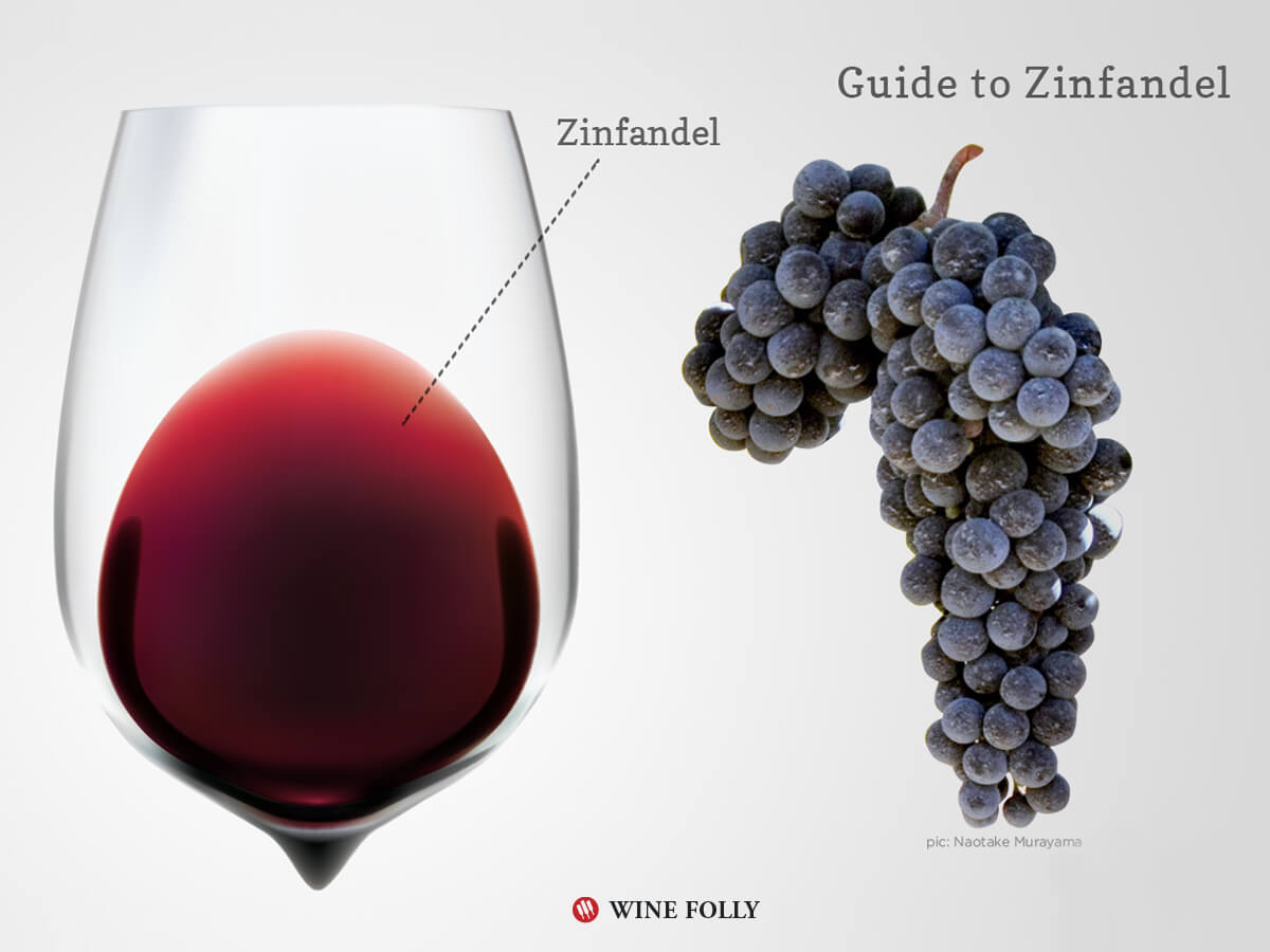 zinfandel